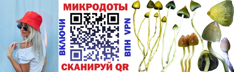 Псилоцибиновые грибы Magic Shrooms где купить наркоту Чкаловск